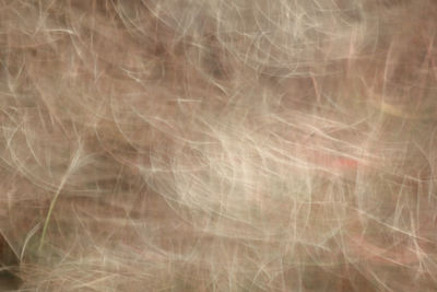 Full frame shot of abstract pattern