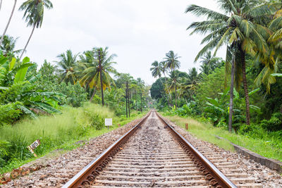 A view of a colonial railway line in the south of sri lanka.