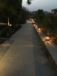 Footpath in park at night