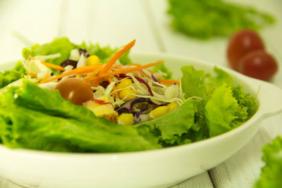 Close-up of meal served in plate