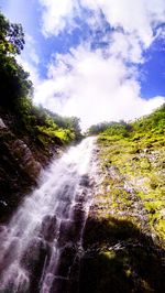 River flowing through forest