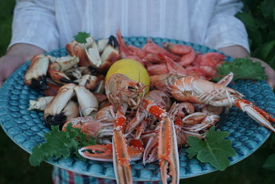 Close-up of person holding food in plate