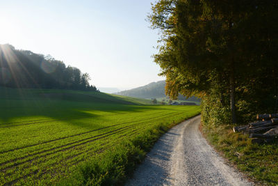 Road amidst trees on field against sky