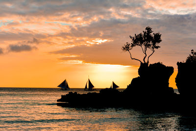 Silhouette tree by sailboats sailing in sea against sky during sunset