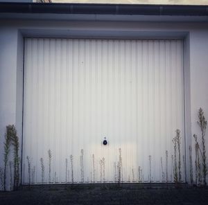 Garage door with plants in foreground