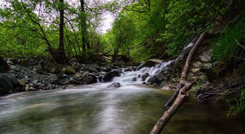 Stream flowing through rocks in forest