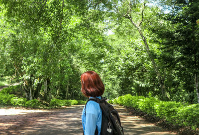 Rear view of woman on road amidst trees in forest