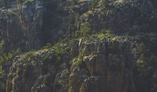 Scenic view of waterfall