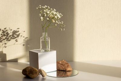 A branch of a gypsophila flower standing on a white paper cube and stones