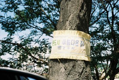 Close-up of information sign on tree trunk