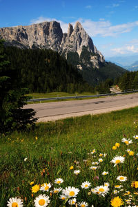 Scenic view of grassy field by mountains against sky