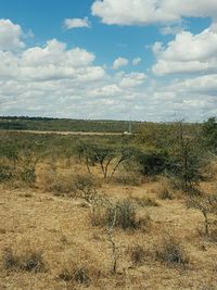 Scenic view of field against sky
