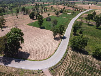 High angle view of road amidst trees in city