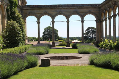 Lawn in garden