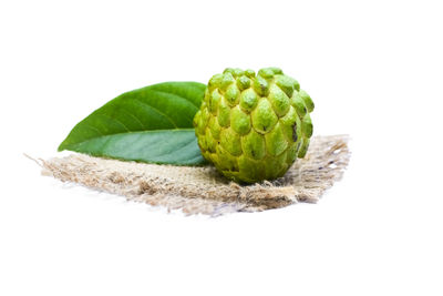 High angle view of fruits against white background