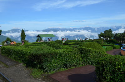 Panoramic view of agricultural field against sky