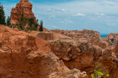 Rock formations at bryce canyon national park