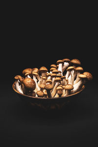 Close-up of mushrooms against black background