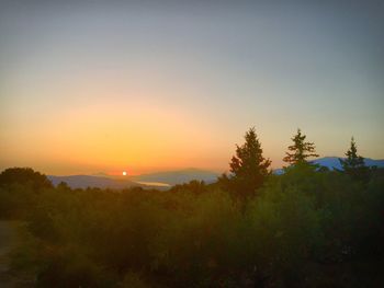 Scenic view of trees against sky during sunset