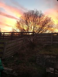 Bare trees against sky during sunset