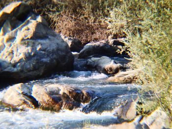 Rocks in sea