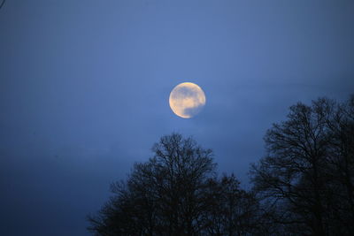 Low angle view of moon in sky at night