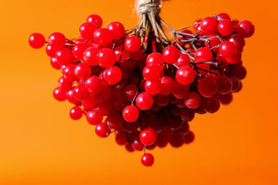 Close-up of cherries against red background