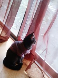 Boy sitting at home