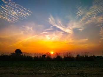 Scenic view of field against sky during sunset