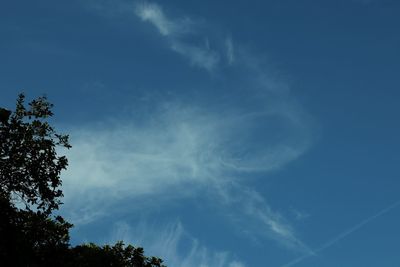 Low angle view of tree against blue sky