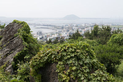 Scenic view of trees and mountains against sky