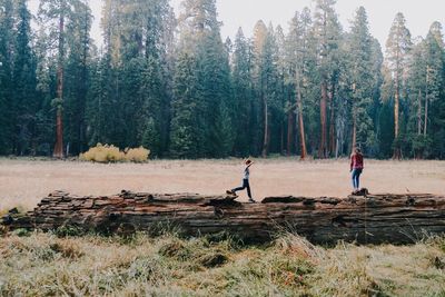 Full length of siblings walking on log in forest