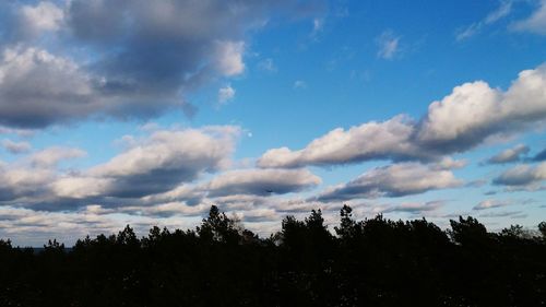 Low angle view of silhouette trees against sky