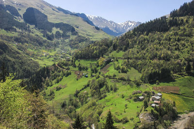 Scenic view of agricultural field by mountains against sky