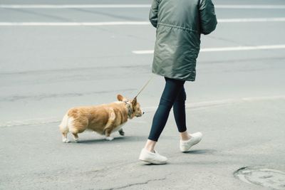 Low section of man walking with dog on road