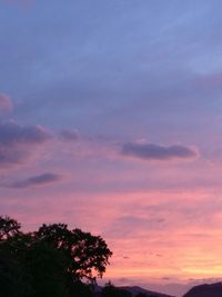 Silhouette trees against sky at sunset