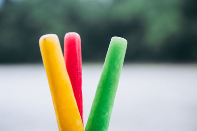 Close-up of multi colored pencils