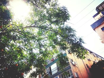 Low angle view of building