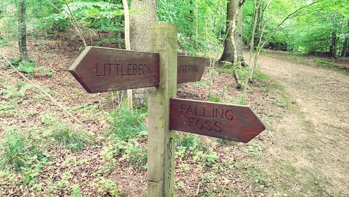 Information sign on tree trunk in forest