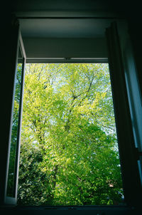 Low angle view of trees seen through window