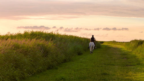 Rear view of man walking on field against sky