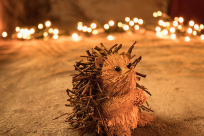 Close-up of illuminated christmas tree on table