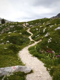 Pathway through green hills