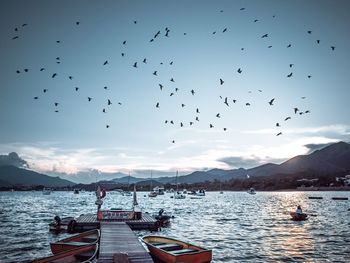 Birds flying over sea against sky