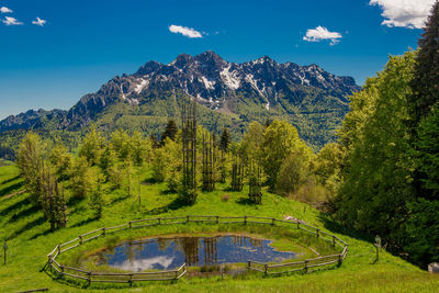 Mountain lake surrounded by flourishing vegetation