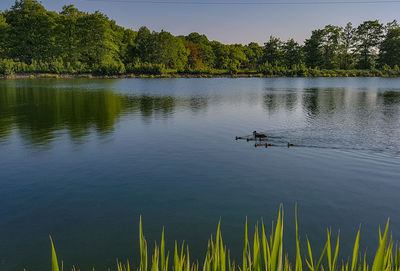 Scenic view of lake