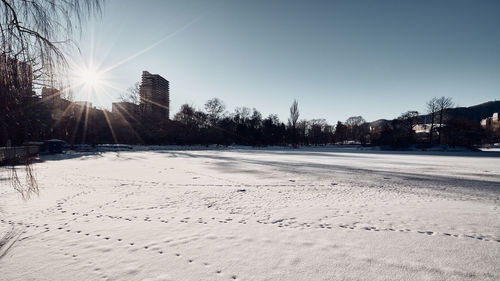winter