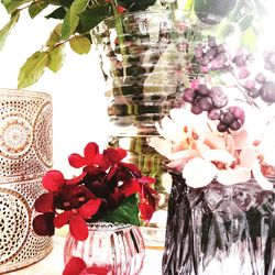 Close-up of christmas flowers in vase