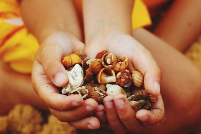 Close-up of hand holding crab on beach