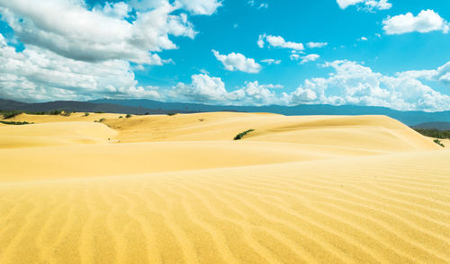 Scenic view of desert against sky